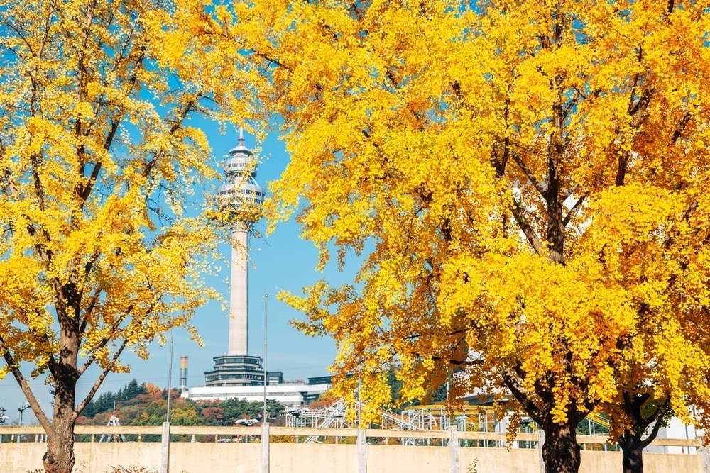 Tháp Daegu mùa thu