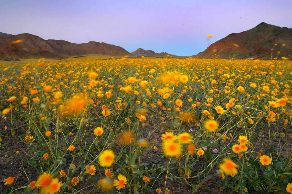 Các hướng để di chuyển đến Death Valley 