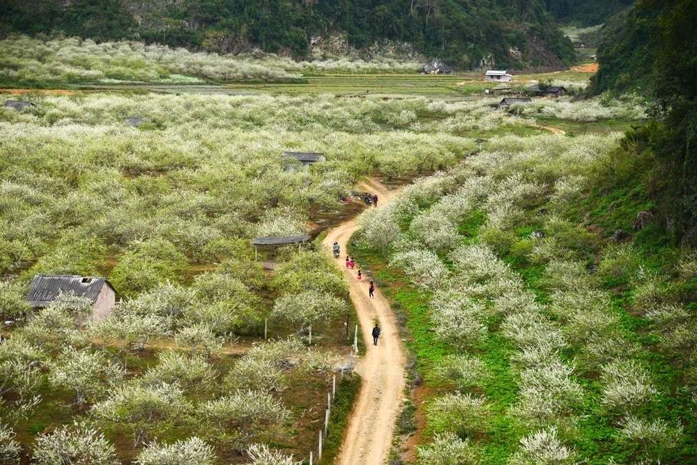 Thung Lũng Mận nhìn từ trên cao