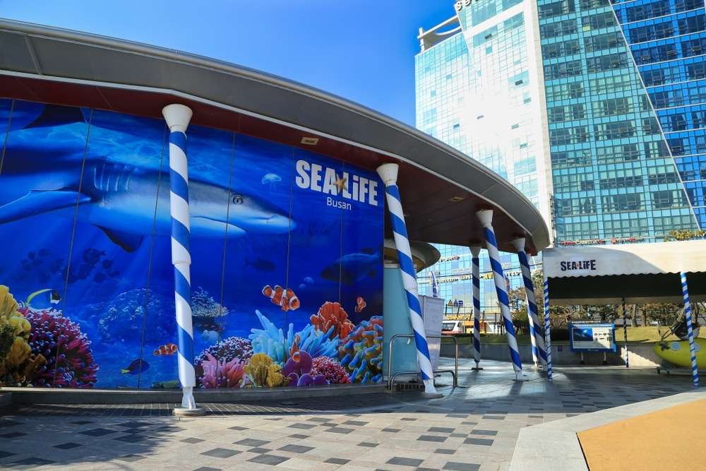 Busan Sea Life