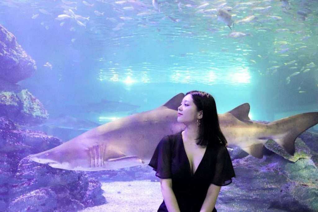 thủy cung Sea Life