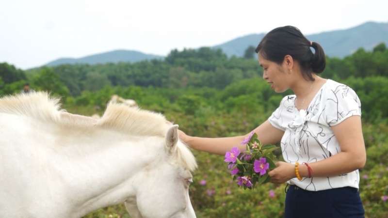 Trại ngựa Bá Vân