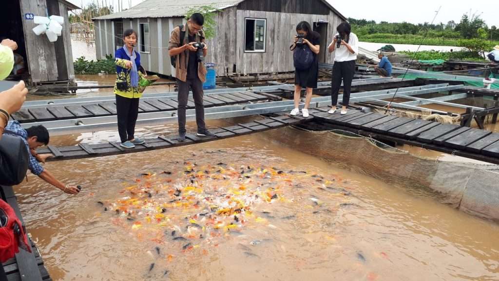 Khu du lịch Cồn Sơn