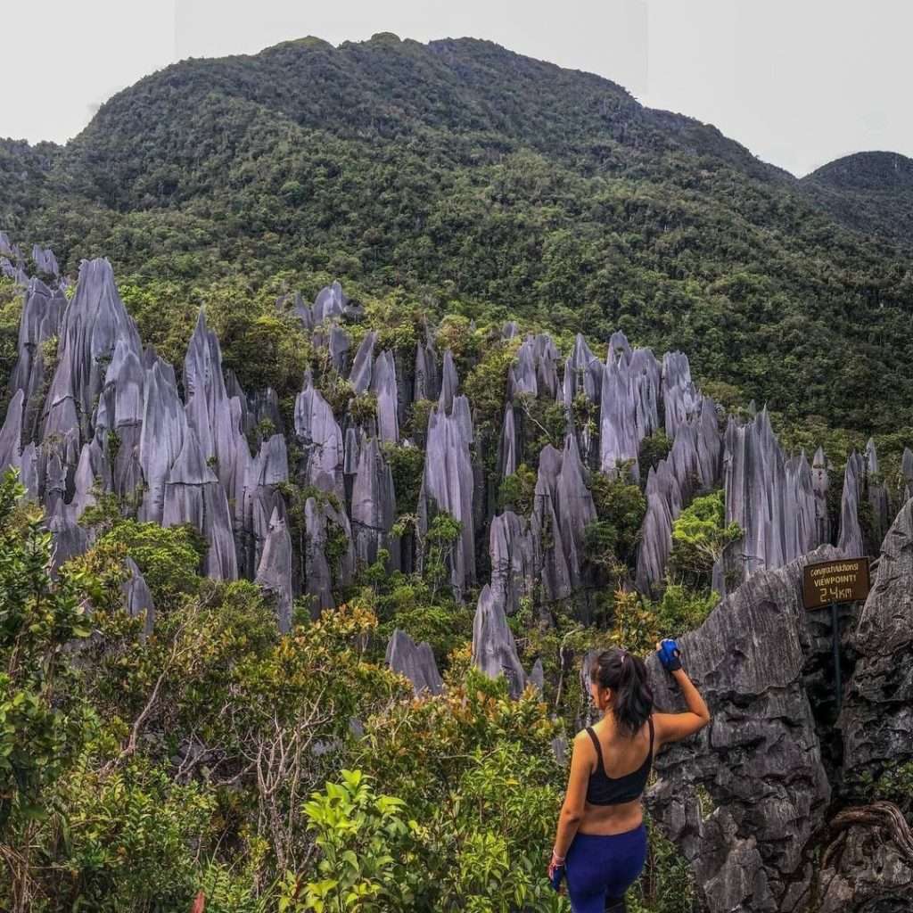 Vườn quốc gia Gunung Mulu tại Malaysia