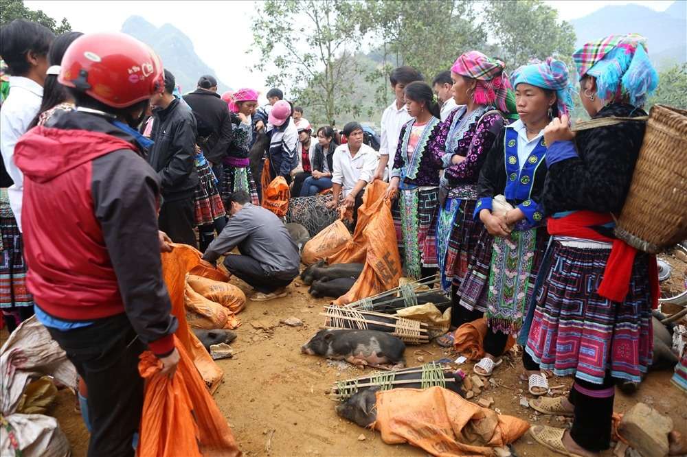 Lễ hội tại vườn quốc gia Hoàng Liên