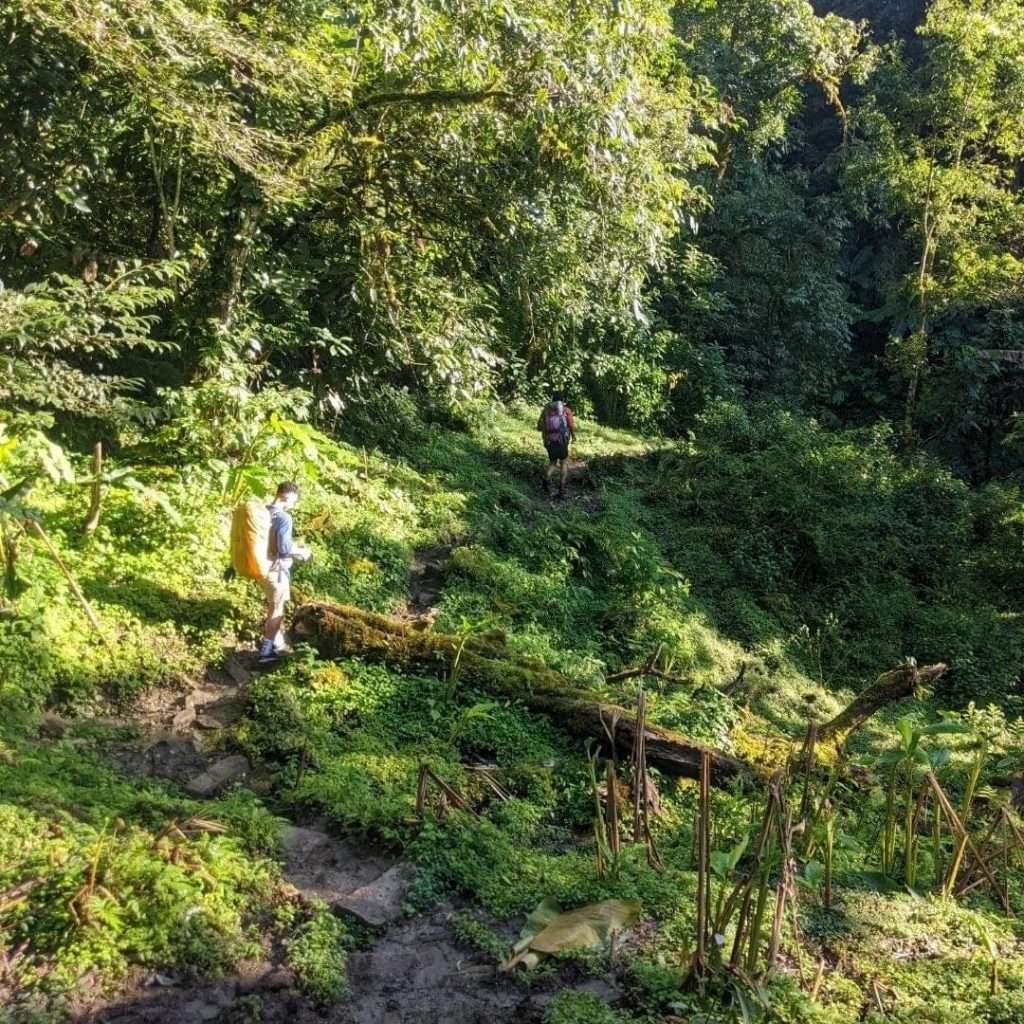 trekking băng rừng