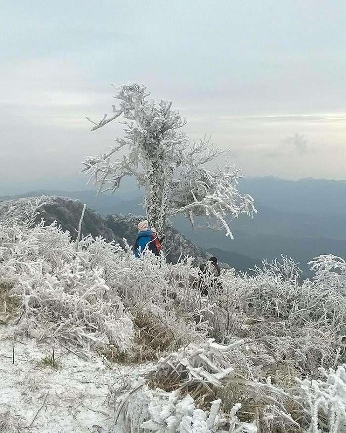 Đỉnh núi Phia Oắc - Phia Đén vào mùa đông