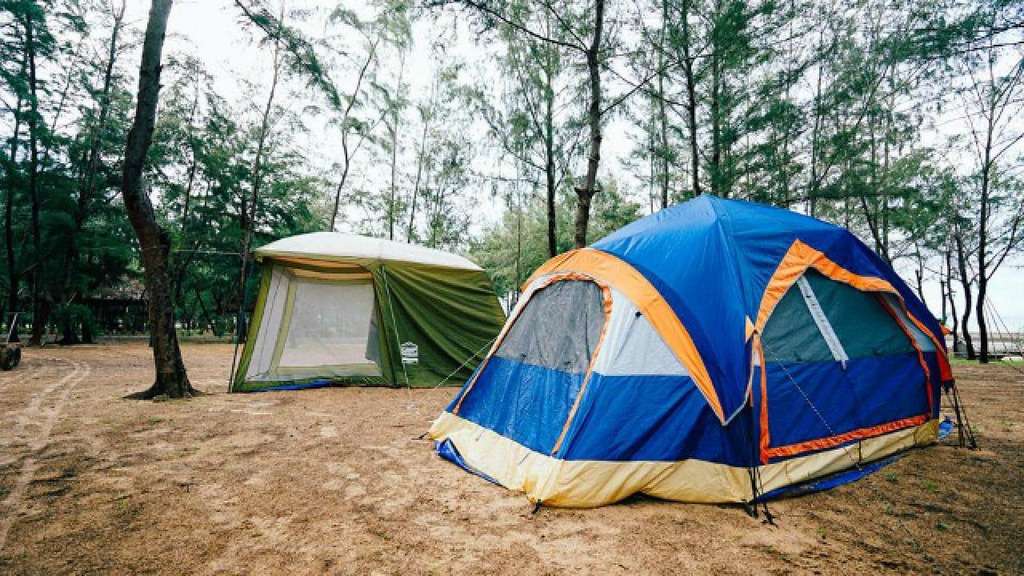 Cắm trại ở Tam Đảo