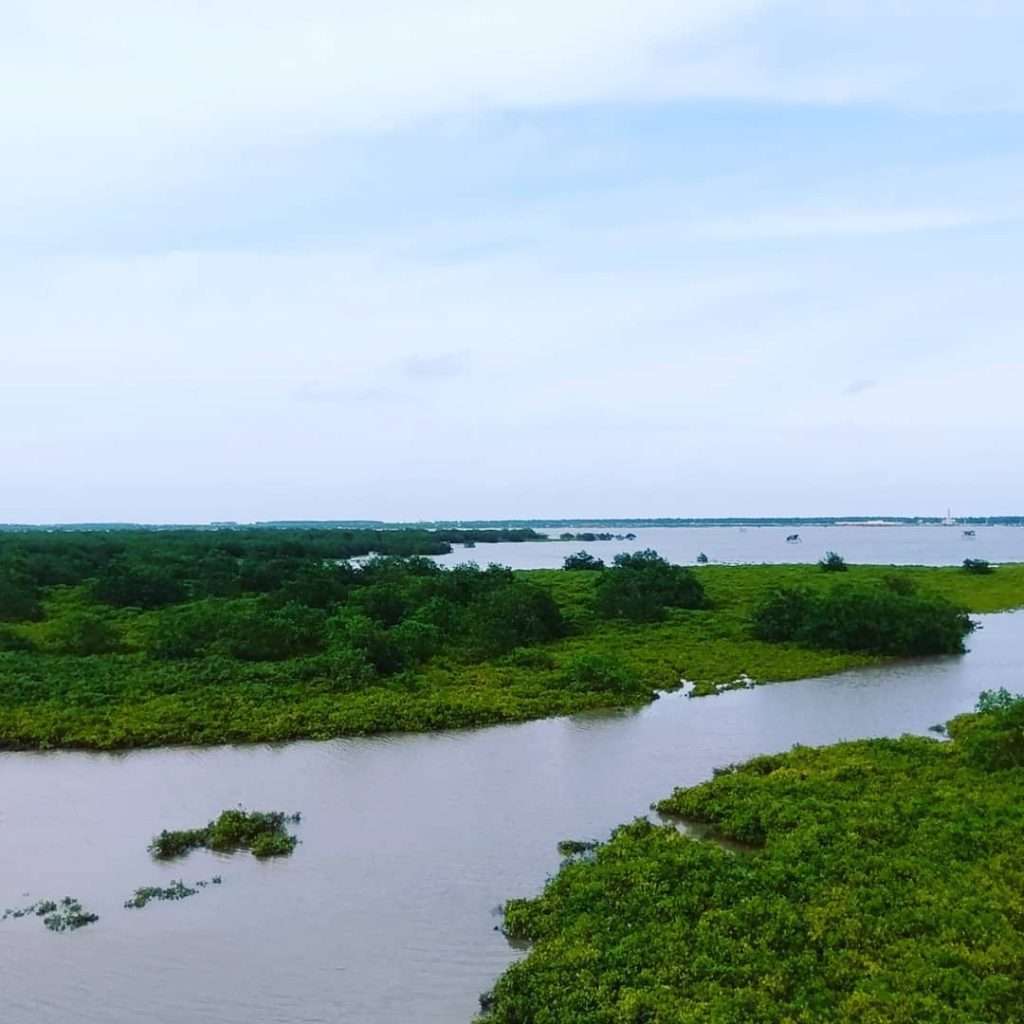 Vườn quốc gia Nam Định
