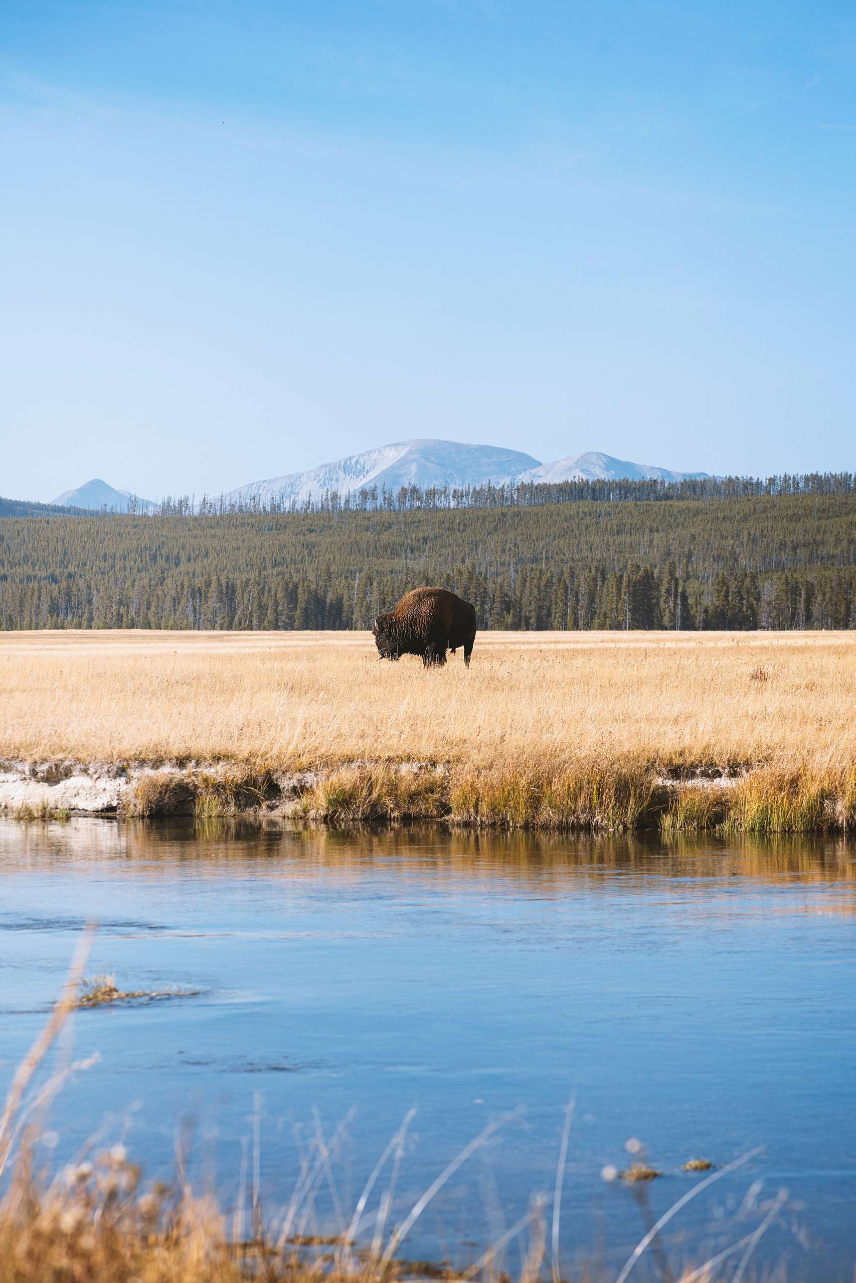 Vườn quốc gia Yellowstone