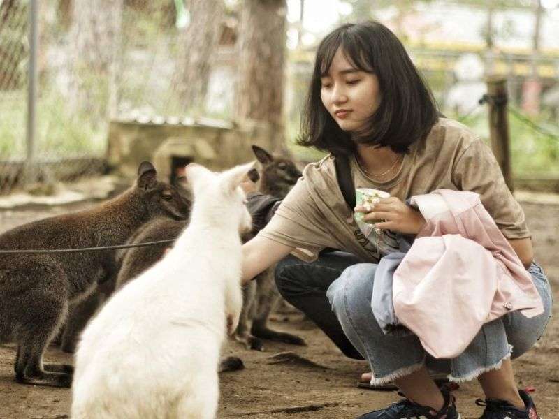 tour zoodoo đà lạt 