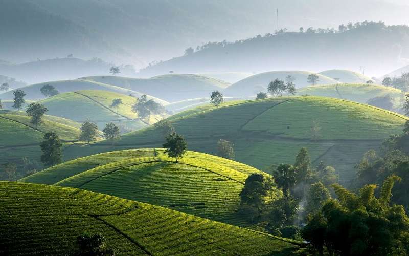 du lịch Phú Thọ