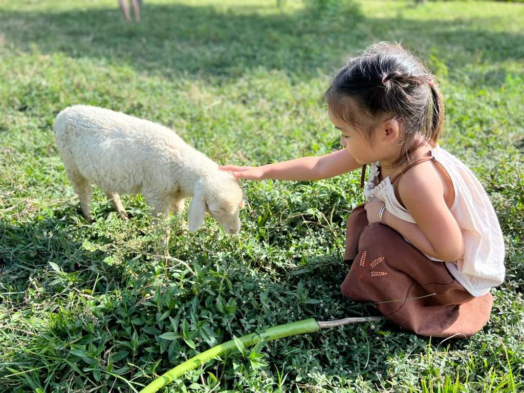 du lịch Cam Ranh