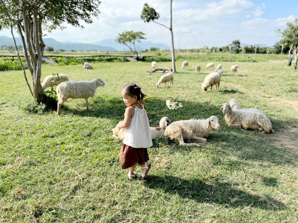 du lịch Cam Ranh