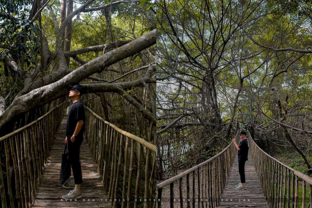 Đắk Lắk