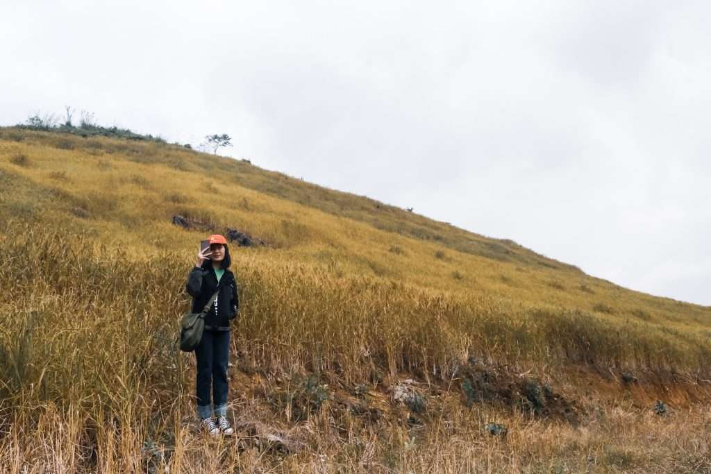 Mộc Châu mùa hè