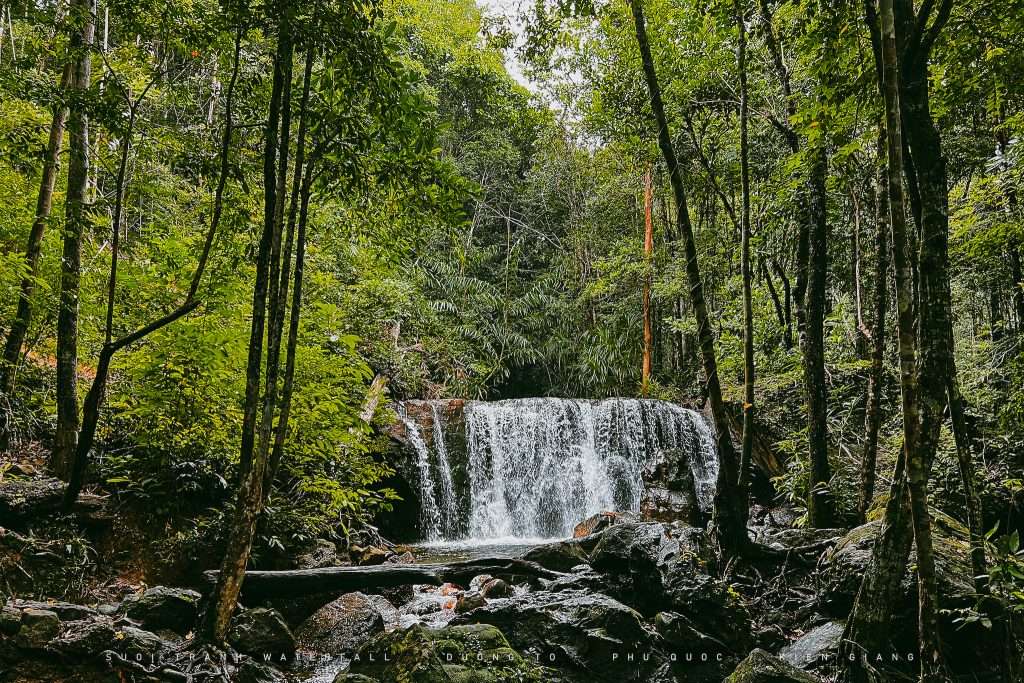 du lịch Phú Quốc 2 ngày 1 đêm