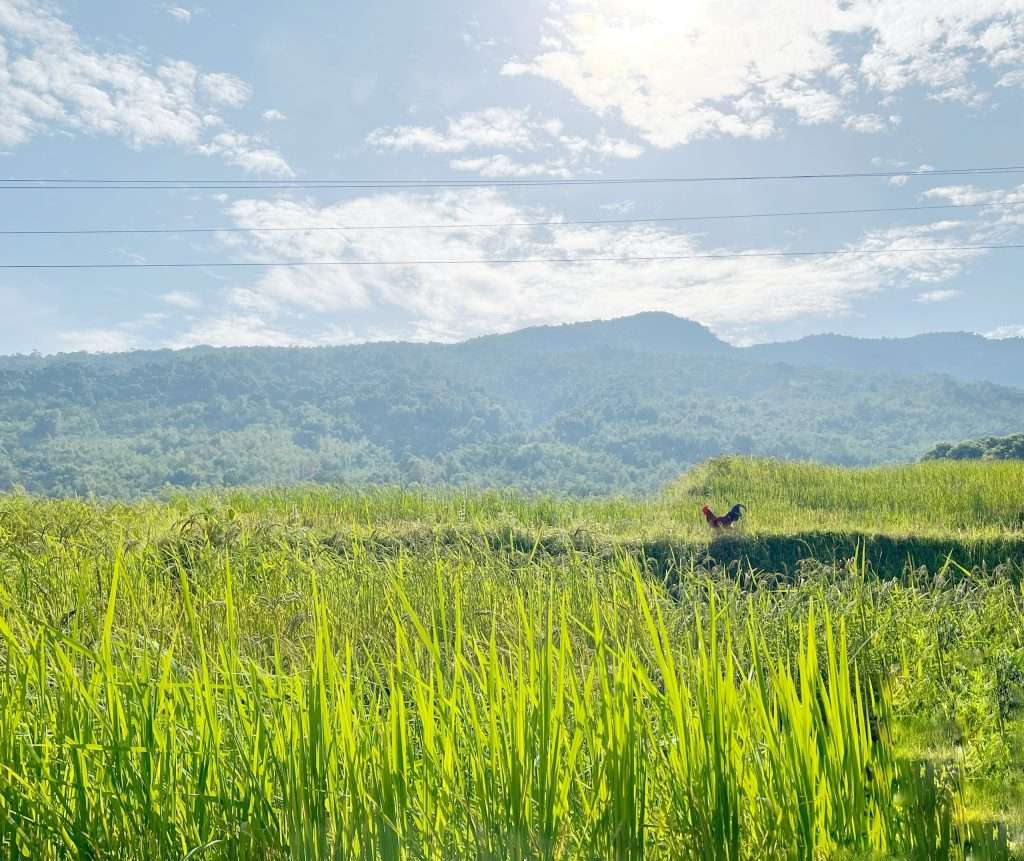 go-and-share-du-lich-trai-nghiem-pu-luong