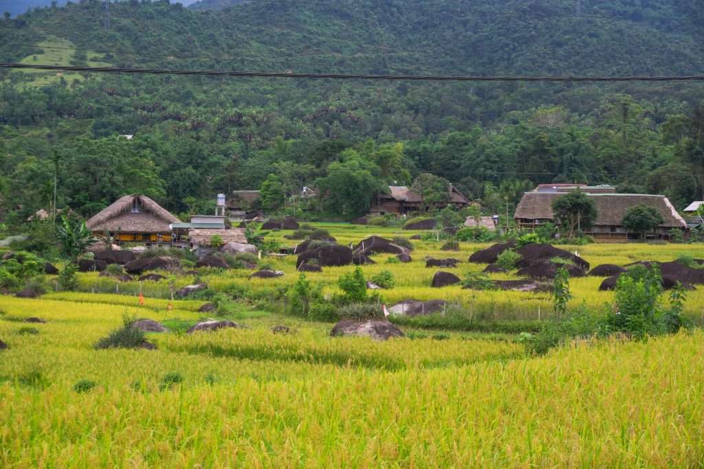 Hà Giang mùa nước đổ, Hà Giang mùa nước đổ, Hà Giang mùa lúa chín