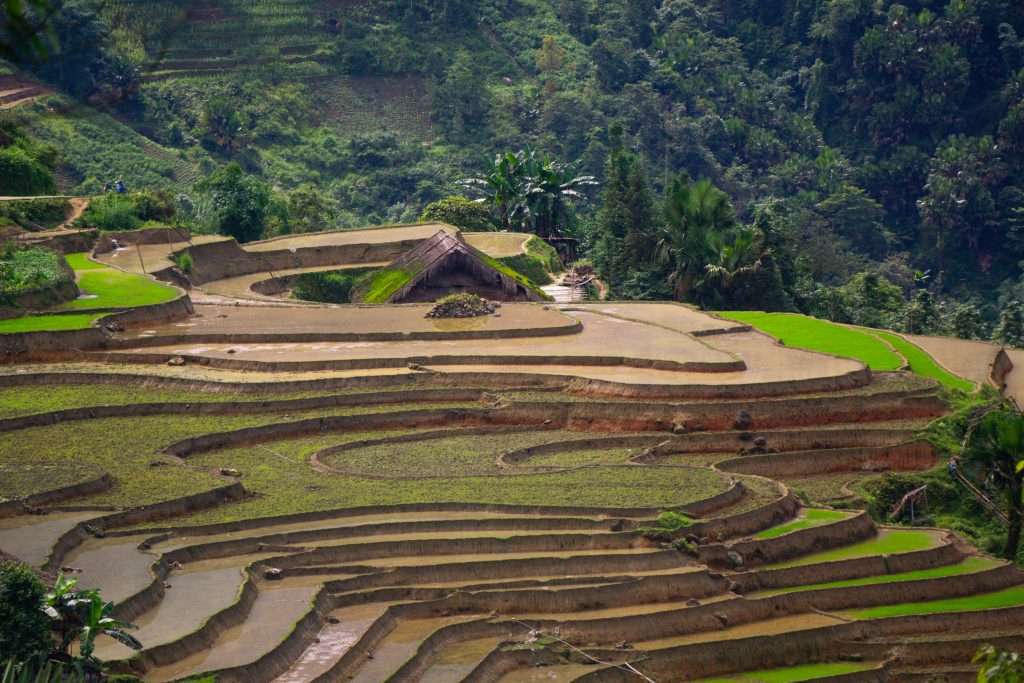 Hà Giang mùa nước đổ, Hà Giang mùa lúa chín