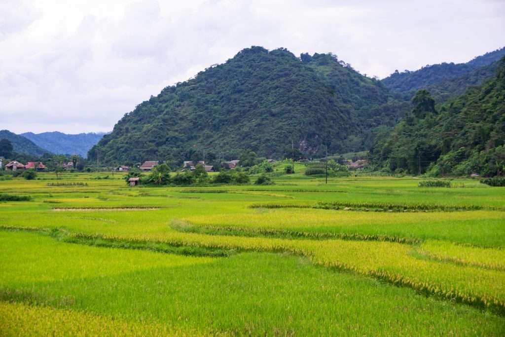 Hà Giang mùa nước đổ, Hà Giang mùa lúa chín