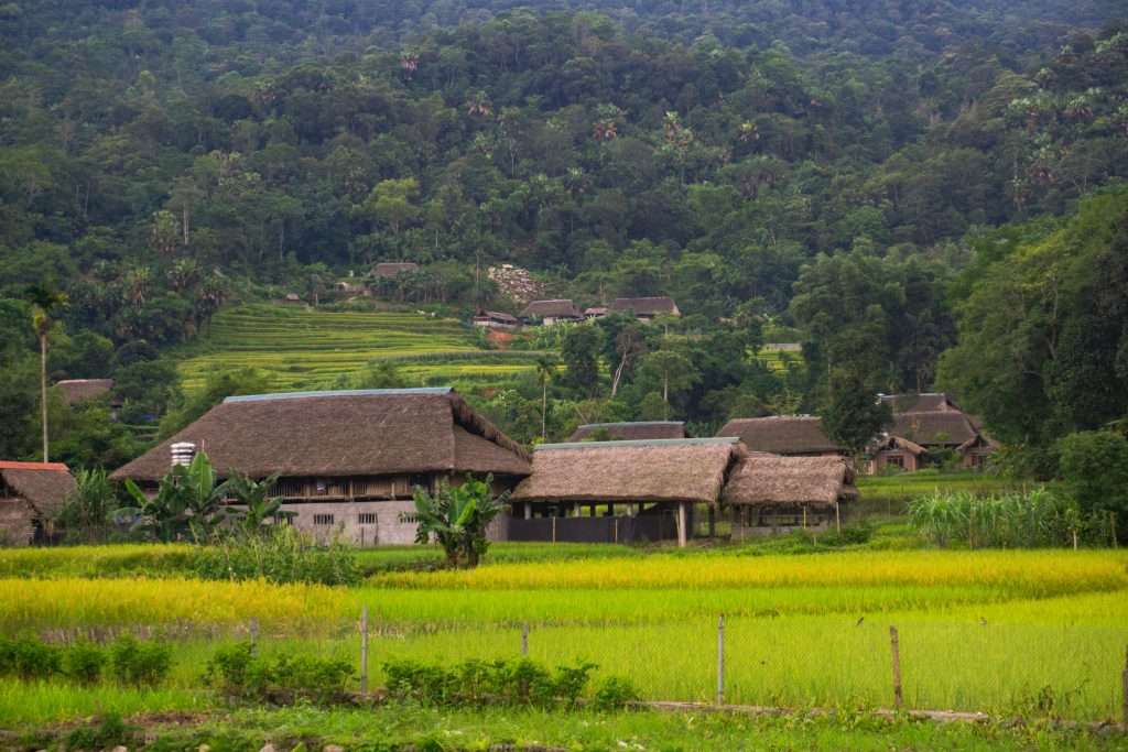 Hà Giang mùa nước đổ, Hà Giang mùa lúa chín