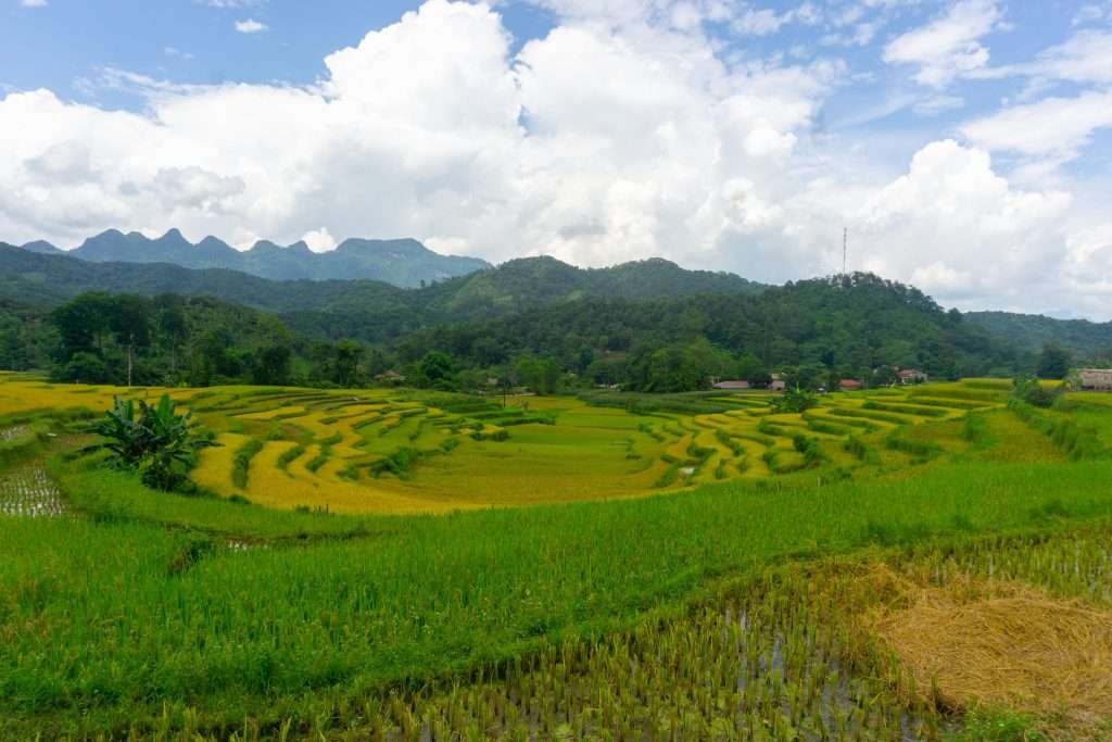 Hà Giang mùa nước đổ, Hà Giang mùa lúa chín