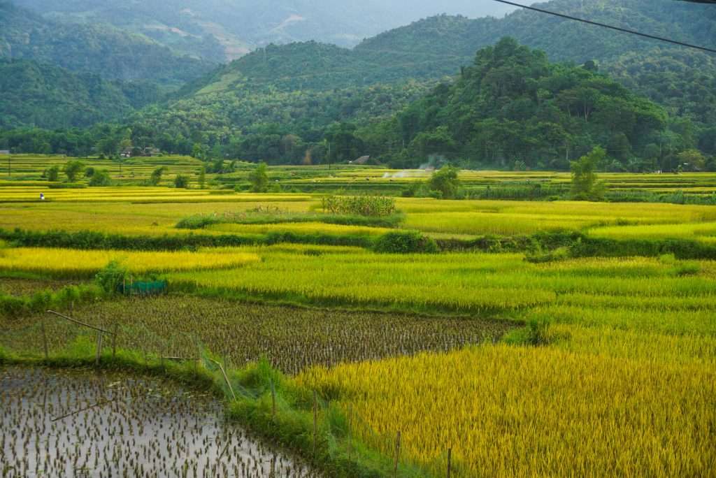 Hà Giang mùa nước đổ, Hà Giang mùa lúa chín