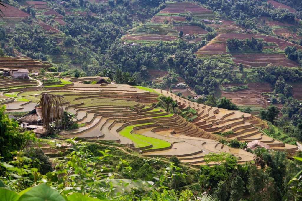 Hà Giang mùa nước đổ, Hà Giang mùa lúa chín