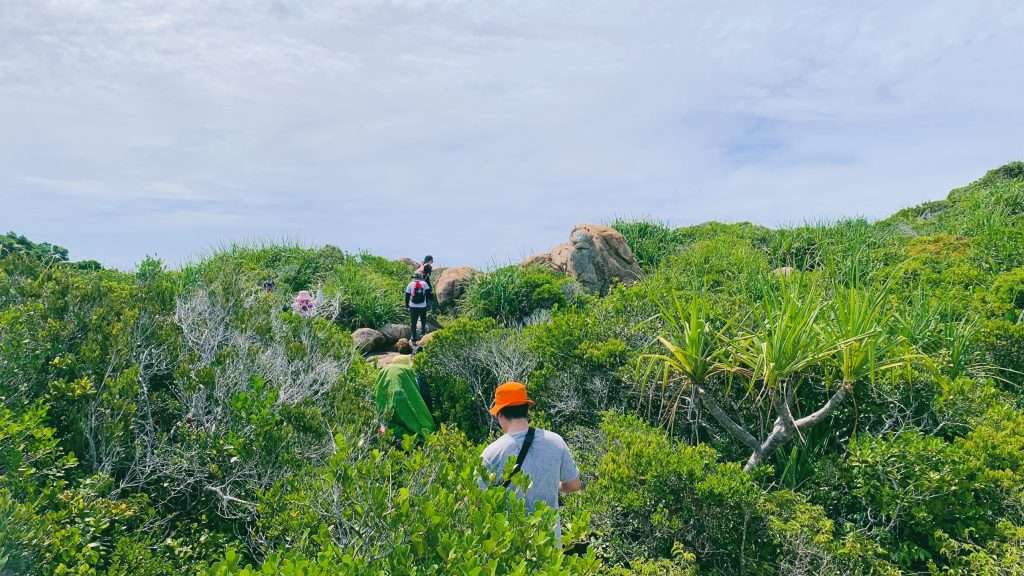 trekking 8 nàng tiên