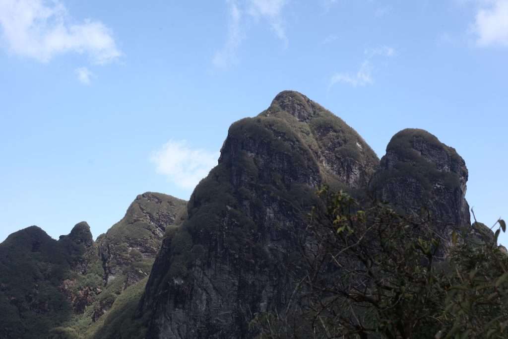 Ngũ Chỉ Sơn