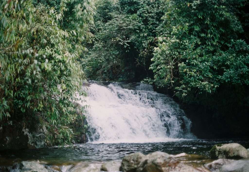 Ngũ Chỉ Sơn