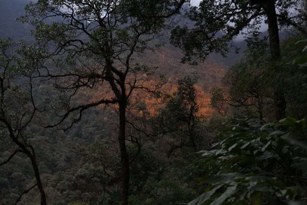 Ngũ Chỉ Sơn