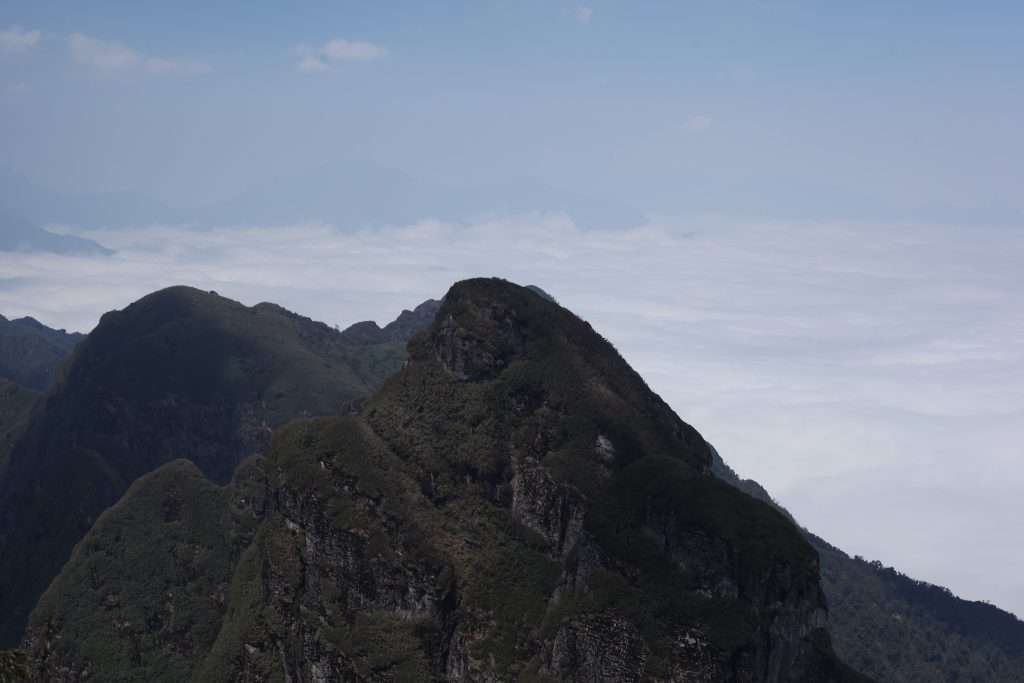 Ngũ Chỉ Sơn