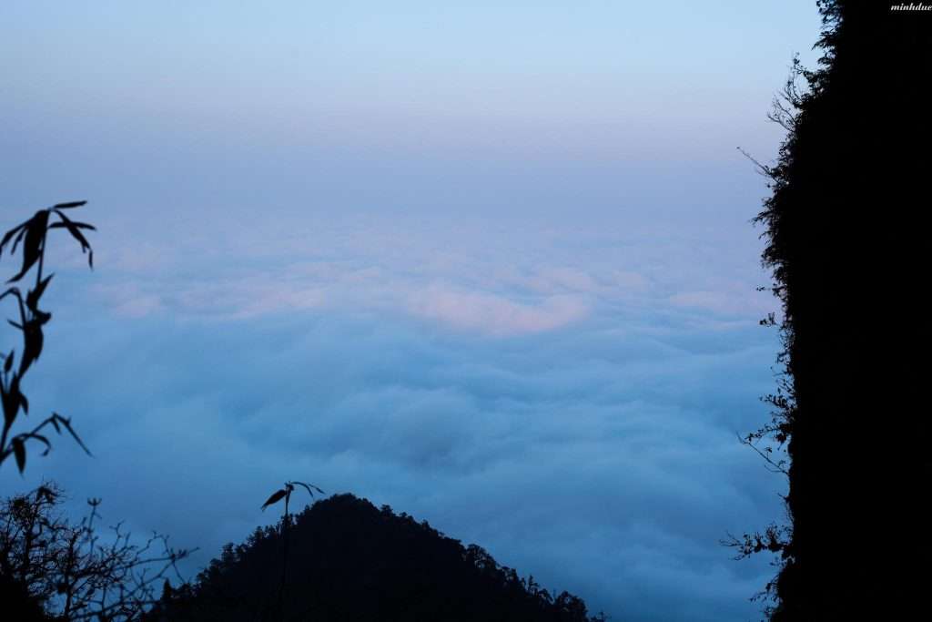 Ngũ Chỉ Sơn