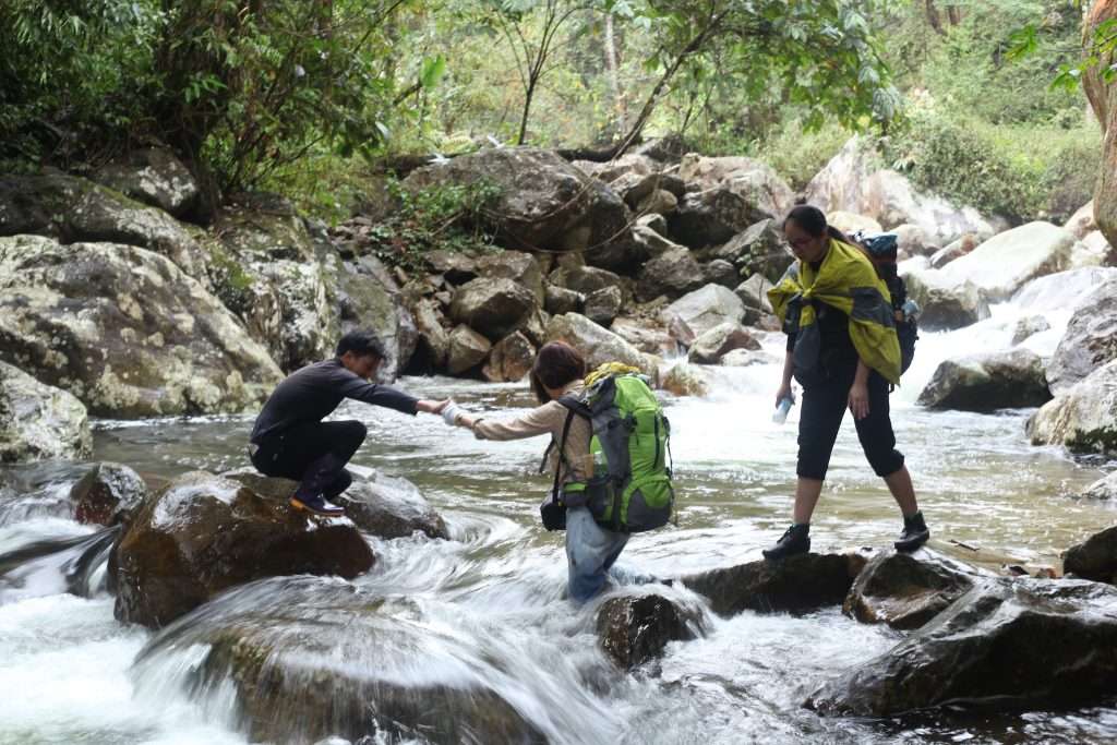 Ngũ Chỉ Sơn