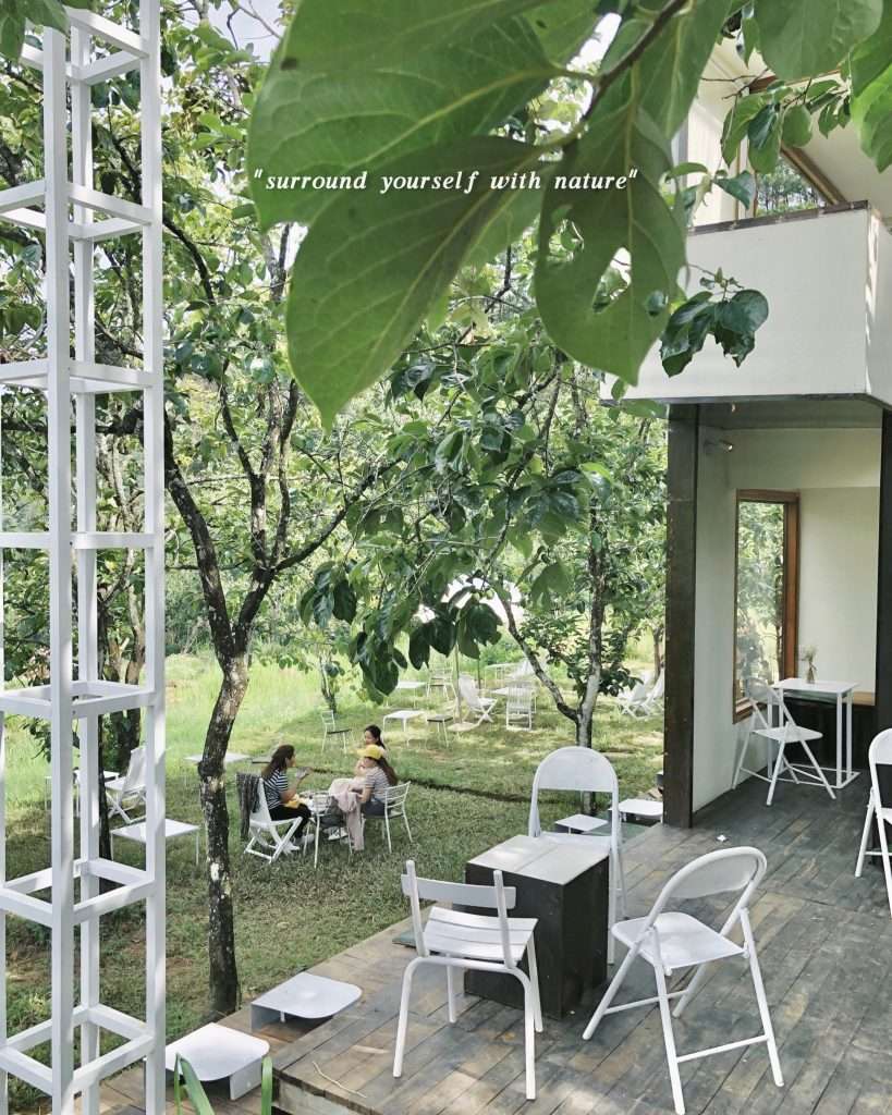 quán cafe Đà Lạt