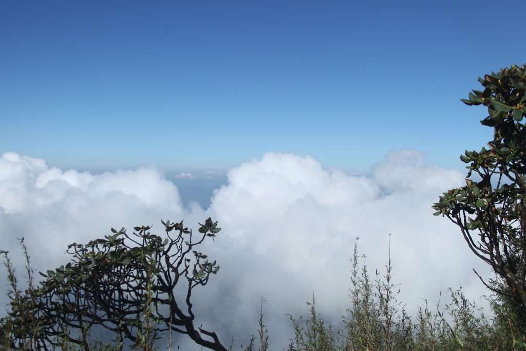 Tả Liên Sơn