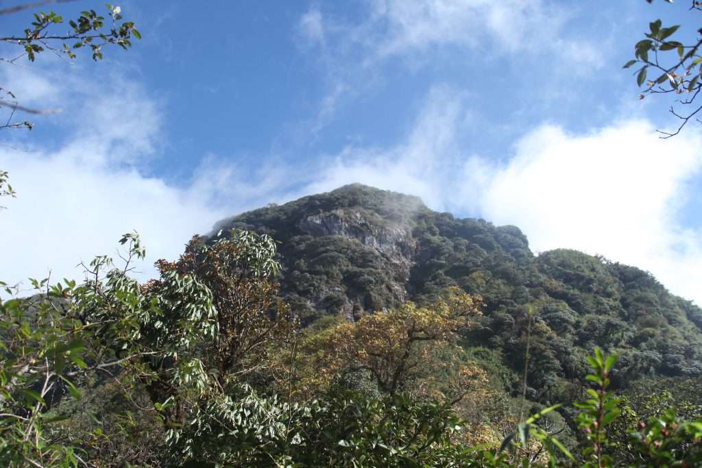 Tả Liên Sơn