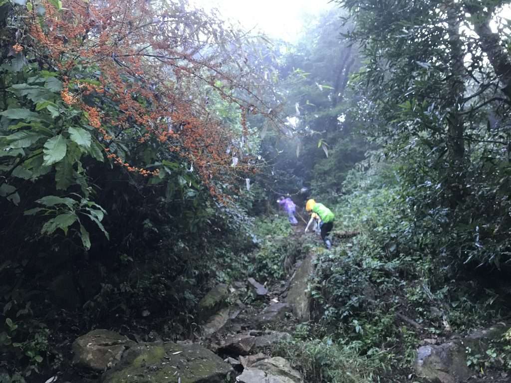 Tả Liên Sơn