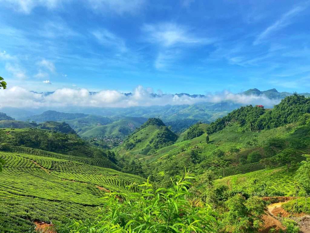 chơi gì ở Mộc Châu