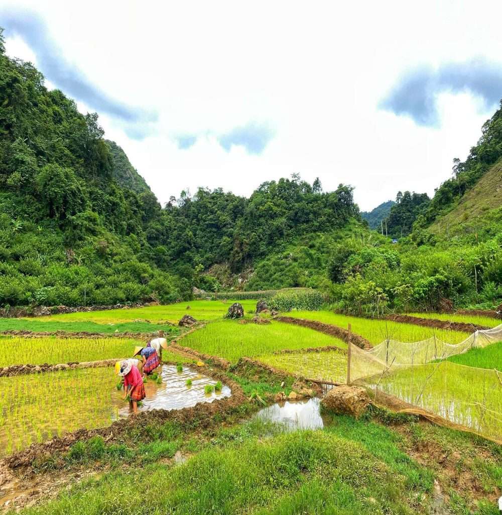 chơi gì ở Mộc Châu