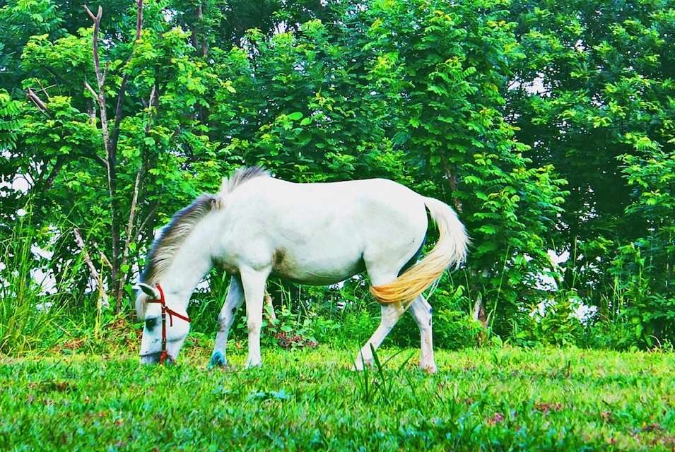 Khu du lịch Hồ Mây