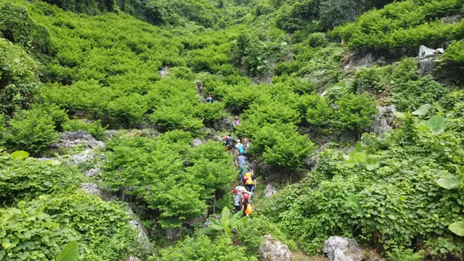 Phát hiện thung lũng hoang sơ cách Hà Nội hơn 100km, du khách ví như "kỳ quan thiên nhiên ẩn trong rừng"- Ảnh 4.