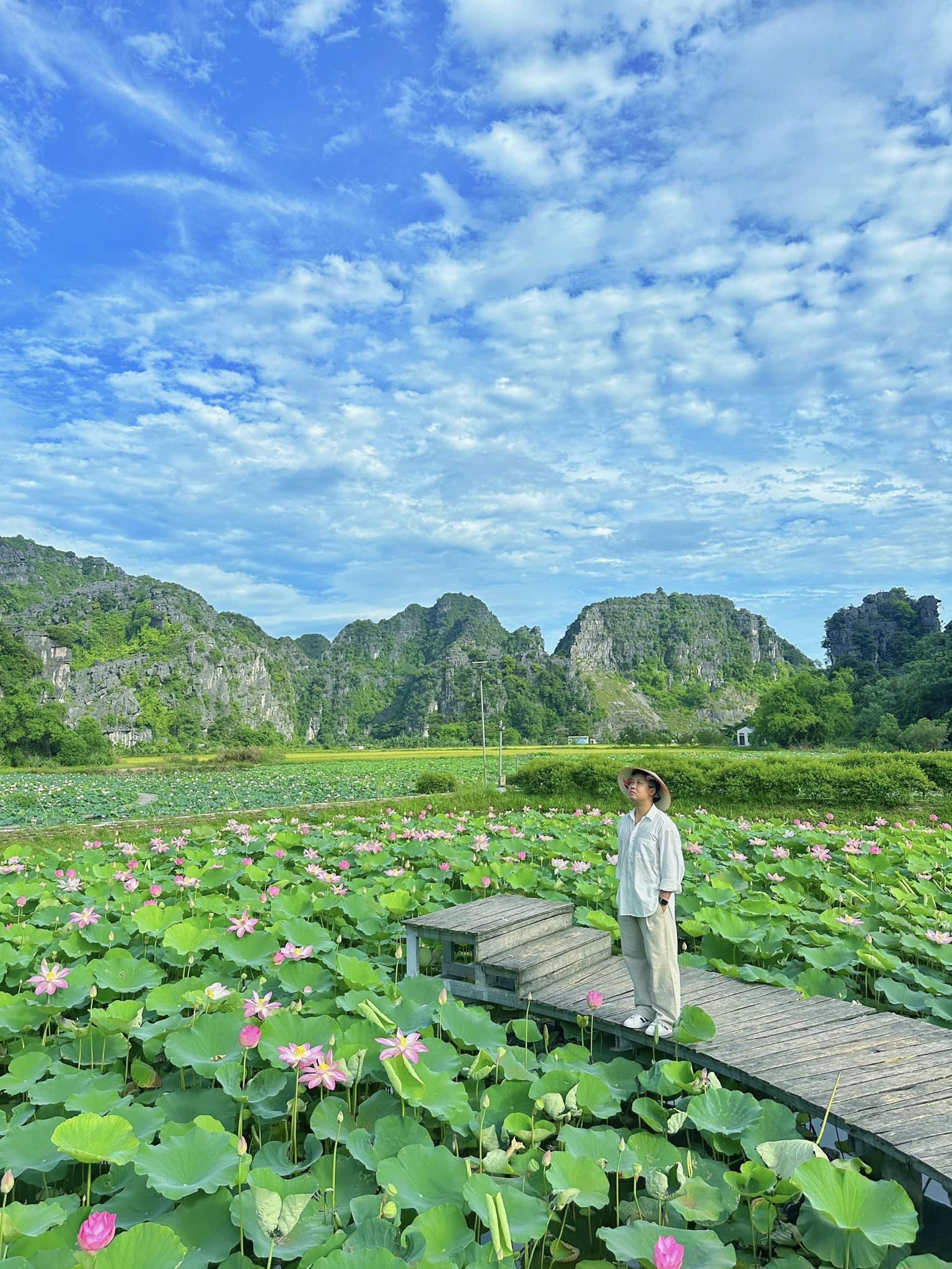 Chẳng phải tự nhiên nhiều người rủ nhau về Ninh Bình vào tháng 6: Đây chính là mùa đẹp nhất trong năm ở Cố đô!- Ảnh 6.