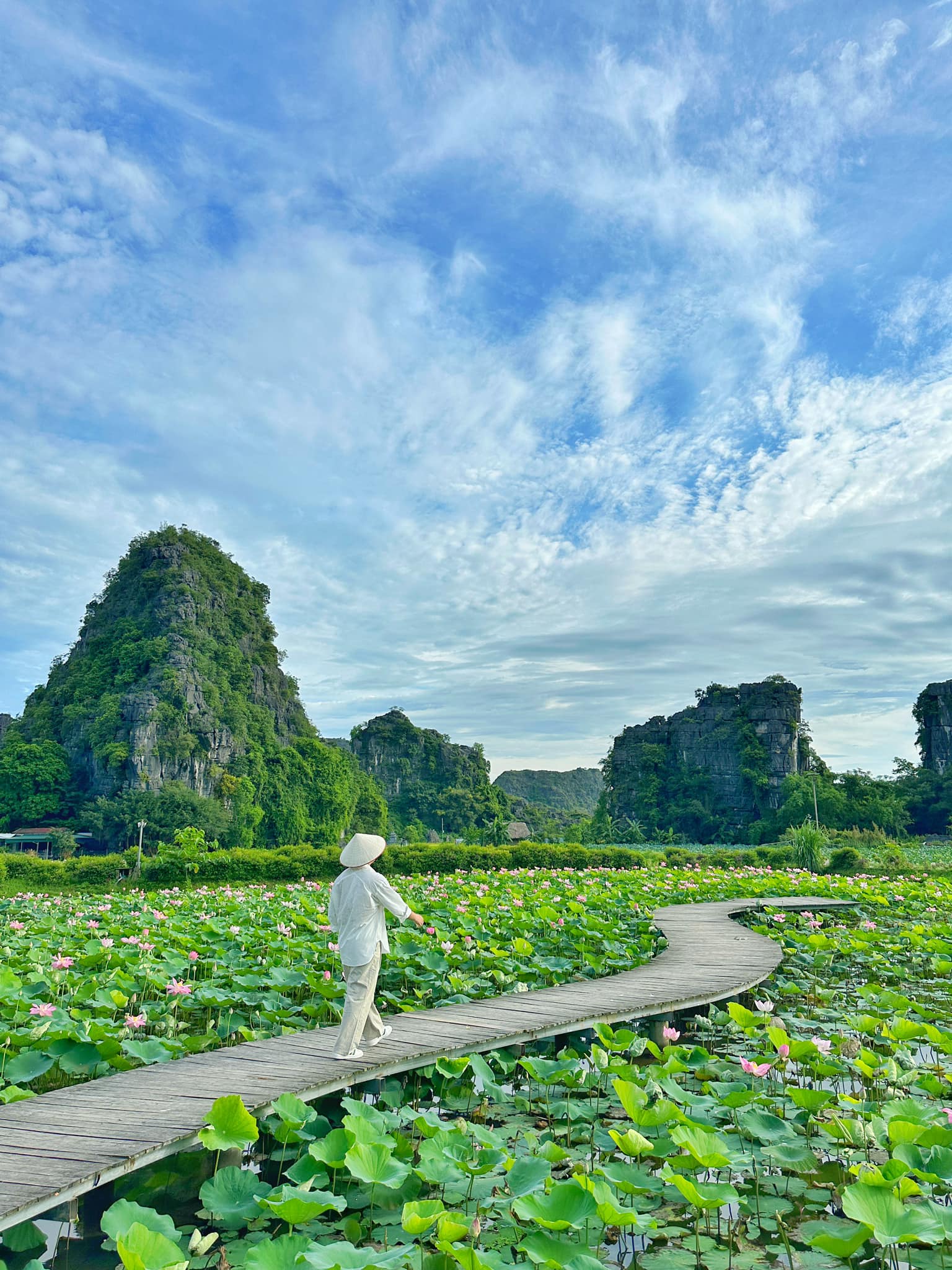 Chẳng phải tự nhiên nhiều người rủ nhau về Ninh Bình vào tháng 6: Đây chính là mùa đẹp nhất trong năm ở Cố đô!- Ảnh 7.