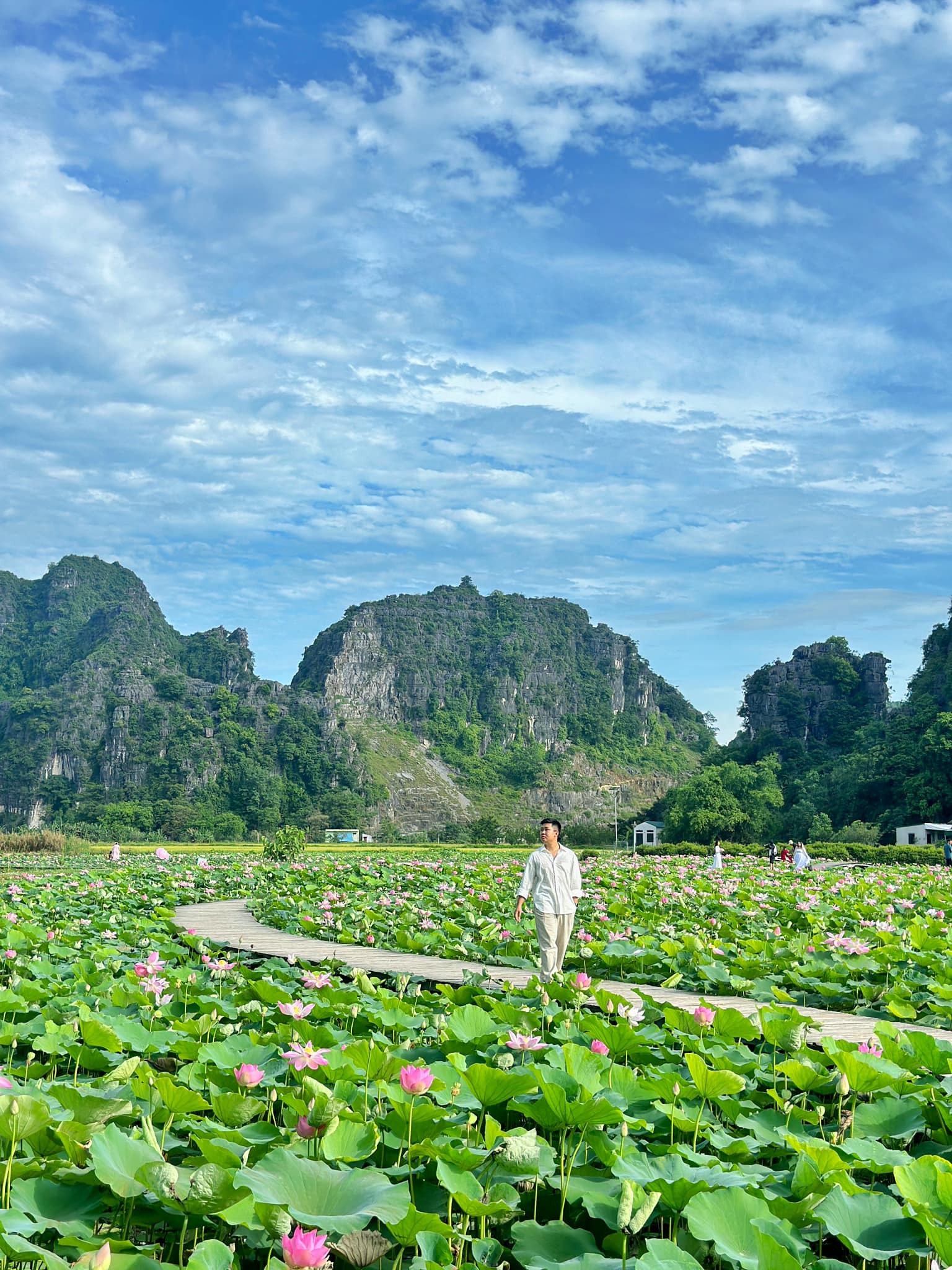 Chẳng phải tự nhiên nhiều người rủ nhau về Ninh Bình vào tháng 6: Đây chính là mùa đẹp nhất trong năm ở Cố đô!- Ảnh 8.