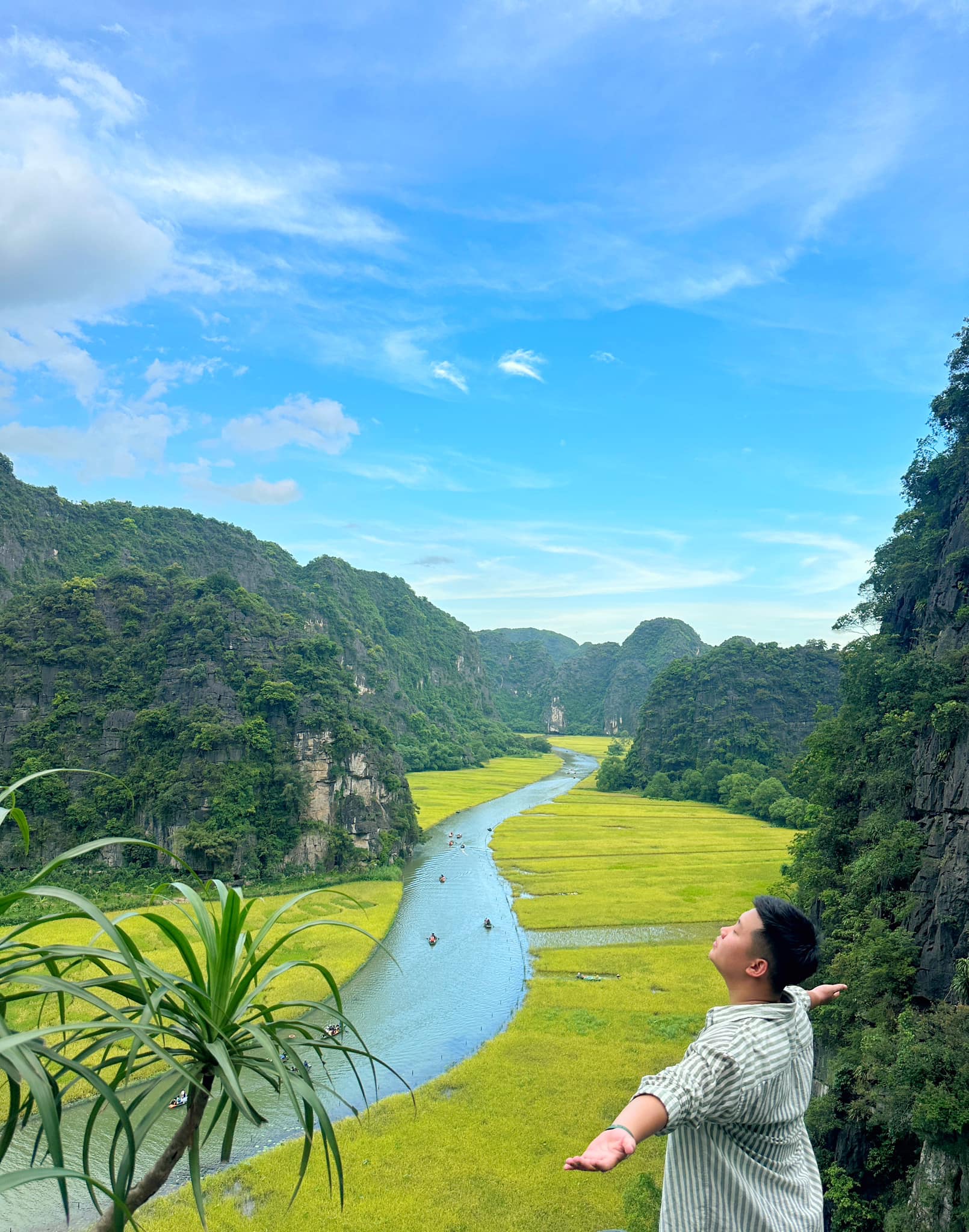 Chẳng phải tự nhiên nhiều người rủ nhau về Ninh Bình vào tháng 6: Đây chính là mùa đẹp nhất trong năm ở Cố đô!- Ảnh 3.