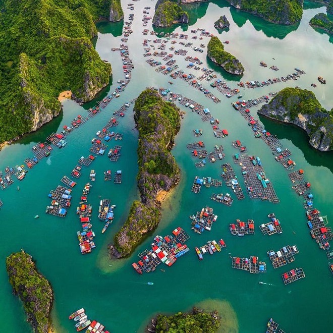 Hòn đảo mang tên "tự do" nằm ẩn mình ở Cát Bà ít người biết: Đẹp hoang sơ, sở hữu bãi biển 2 mặt hiếm có- Ảnh 8.