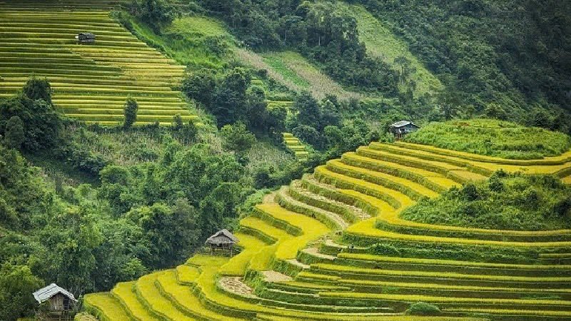 Tháng 8, thời điểm tuyệt vời nhất để đến Tuyên Quang: Rước đèn tại lễ hội Trung thu lớn nhất cả nước, check-in ngọn thác 15 tầng đẹp tựa tiên cảnh- Ảnh 31.